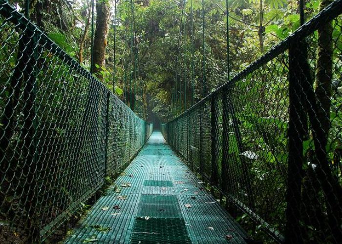 Monteverde, en Costa Rica (Foto: flickr Britt Reints).